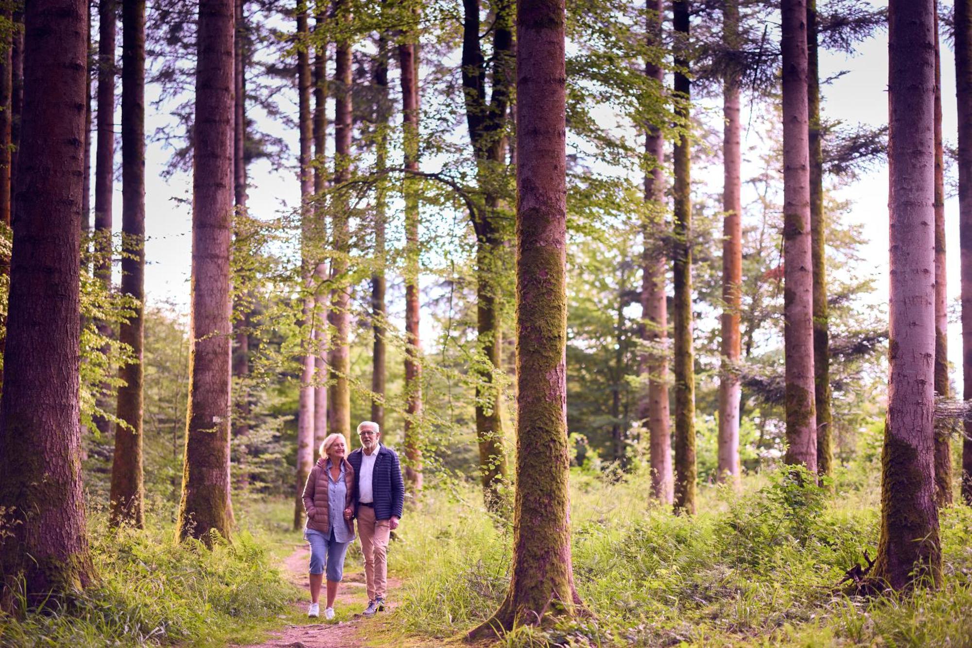 Center Parcs Les Trois Forets Hattigny Exteriör bild